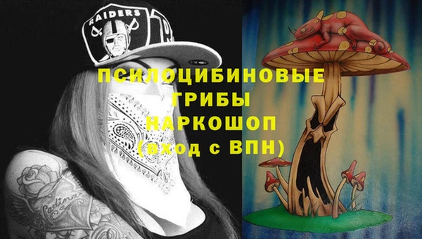 apvp Абаза