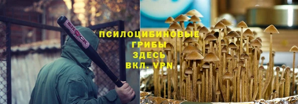 тгк Абдулино