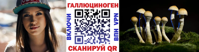 кракен как войти  Советск  Псилоцибиновые грибы Cubensis 